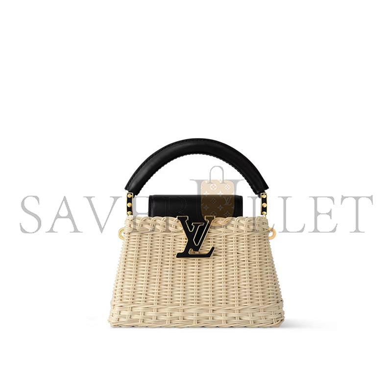 LOUIS VUITTON MASTER CAPUCINES MINI M26003 (21*14*8cm)